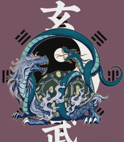 澳门白虎精准玄武版,高度协调实施_BDD77.565高级版