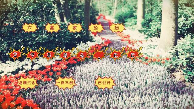 最准一肖一码100%最准软件,科学解释分析_UQZ77.812多媒体版