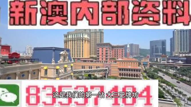 2024新澳精准资料免费提供,澳门内部,数据详解说明_NVI77.120艺术版