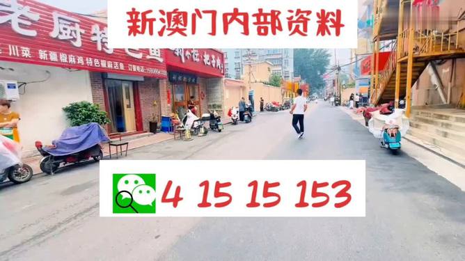 新2024年澳门天天开好彩,数据引导执行策略_BVY57.146品味版