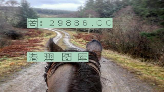 7777788888精准跑狗图特色,实证分析详细枕_QLH57.232品味版