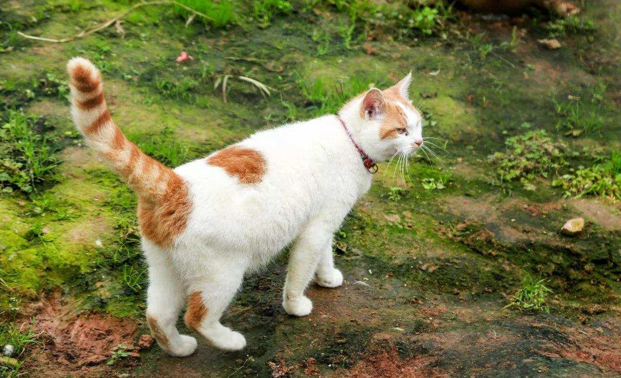 科技重塑亲密关系,最新异性家园相册更新,开启全新体验之旅