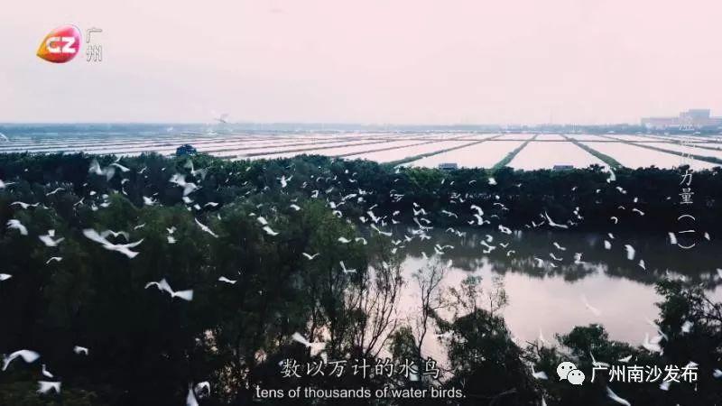 科技重塑亲密关系,最新异性家园相册更新,开启全新体验之旅