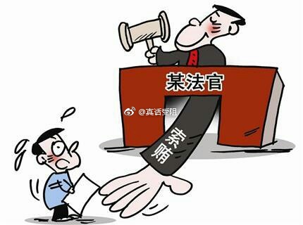 未入额法官最新解读与展望,深度分析当下状况与未来趋势