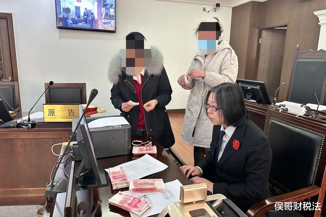 未入额法官最新解读与展望,深度分析当下状况与未来趋势