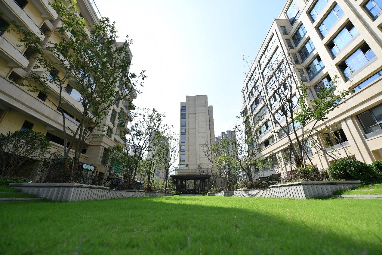 无锡滨湖区最新楼盘探秘,市场现状与个人观点分析