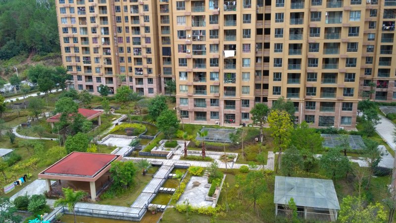 贵安贵泉苑最新动态揭秘,温馨日常的欢乐时光