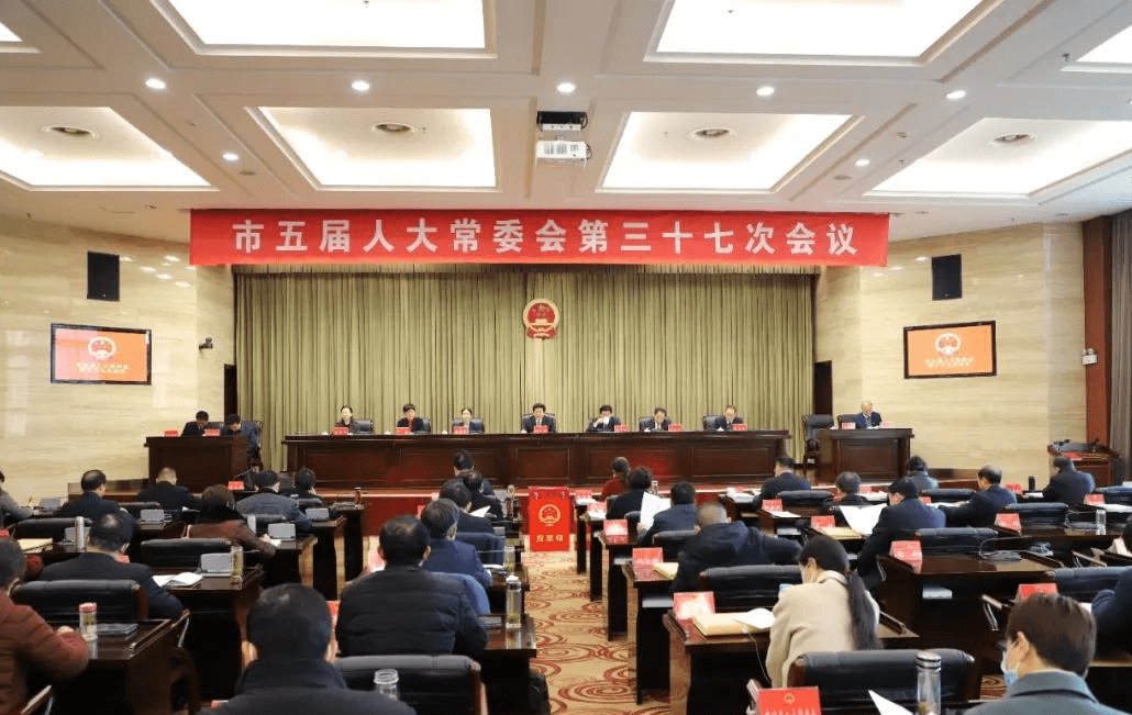 信阳市最新副市长名单揭晓,探索城市小巷中的独特风味小店