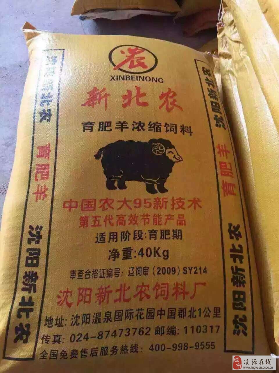 山东饲料厂最新招聘,人才吸引与产业发展的双向奔赴盛会