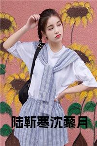 时代之光下的璀璨篇章,席慕琛颜心暖最新动态