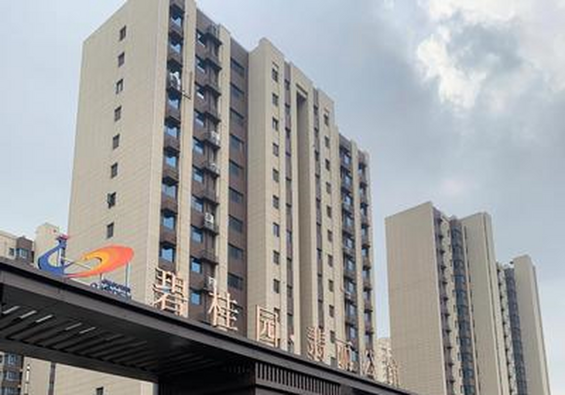 淄博碧桂园最新动态揭秘,最新消息一览🏠🌈