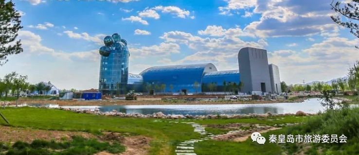 赤洋口最新动态及观点论述揭秘