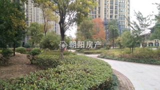 保定绿荫里最新动态更新