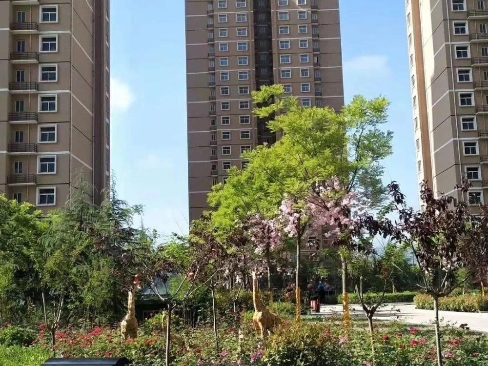 宝鸡市廉租房最新公告发布,打造宜居城市,扩大惠民保障范围