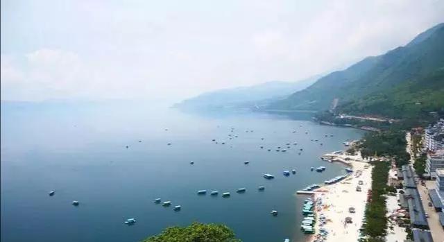 玉溪红塔区最新新闻速递✨