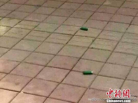 沧州枪击案最新动态与治愈的自然美景之旅