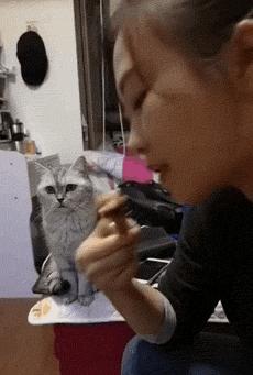 领略科技魅力,体验前所未有的生活变革——2016最新开心一刻大全