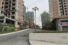 成都天府城邦最新动态,小巷深处的特色小店揭秘