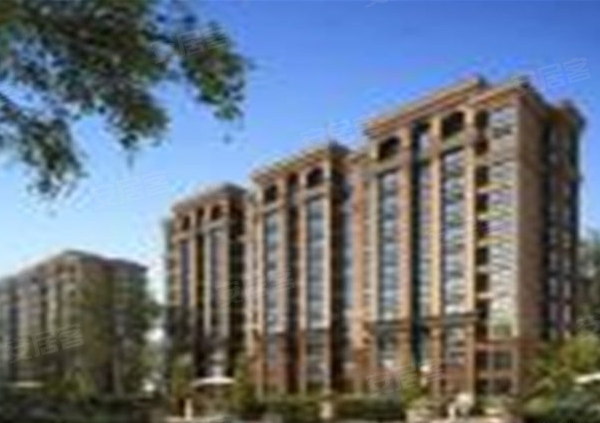 东台帝逸国际最新动态,力量在变化,自信源于学习之路的迈进