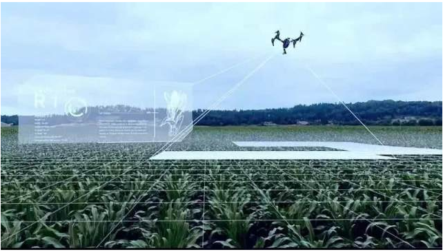 7777788888精准一肖,农业工程_远光版9.901