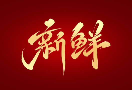 领略汉字魅力，最新鲜的字带你探索语言之源