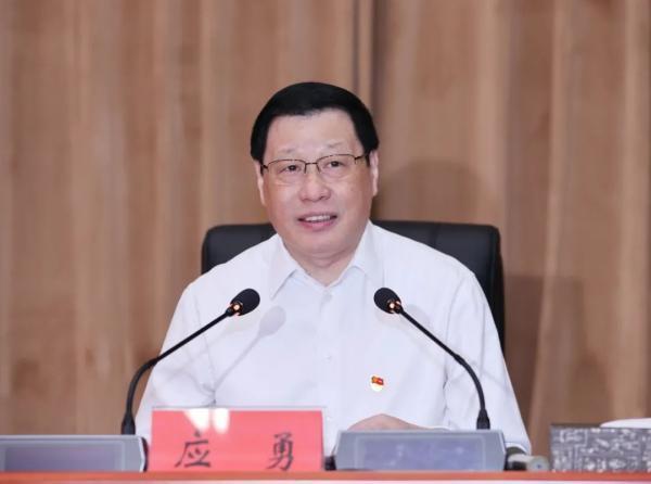 全国最新蚂蚁消息深度解析与观点阐述