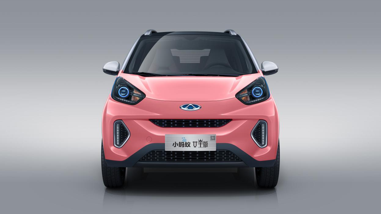 全国最新蚂蚁消息深度解析与观点阐述