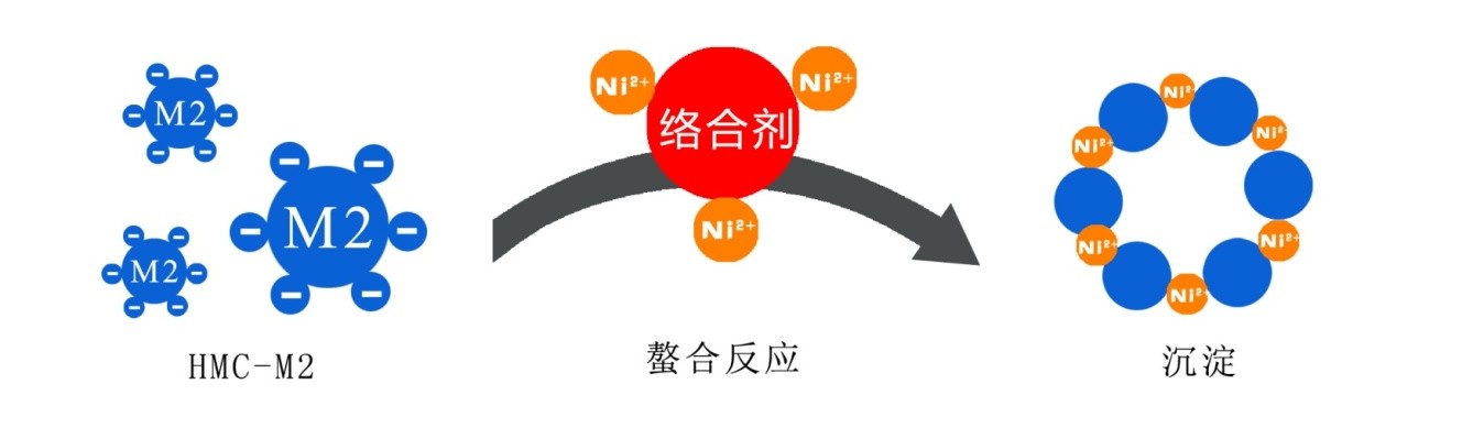 最新螯合技术揭秘,小巷中的神秘宝藏与魅力小店的探索之旅