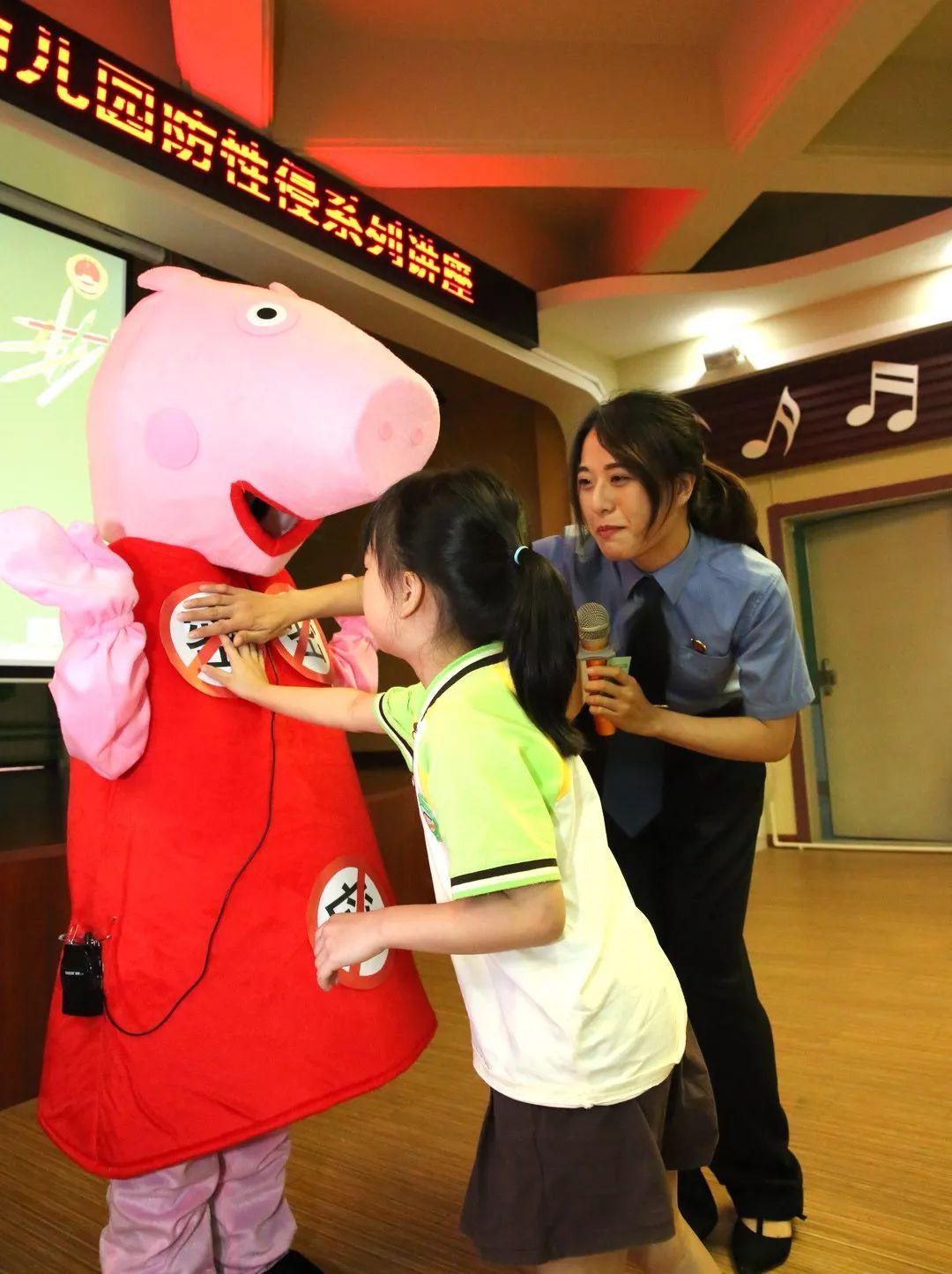 家护小猪,励志成长之旅与小猪的温暖故事