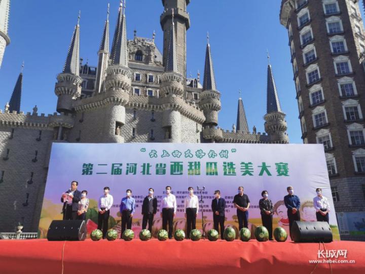 最新企业大赛,激发创新力量,引领未来潮流,铸就行业标杆