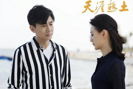 回马枪,爱与陪伴的温馨之旅的剧情介绍。