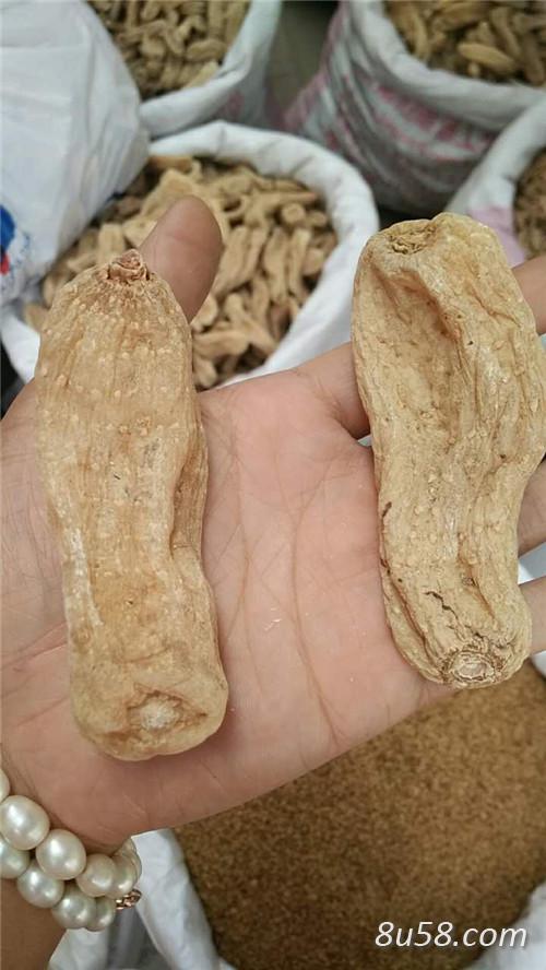 天麻价格行情深度解析及市场走势展望