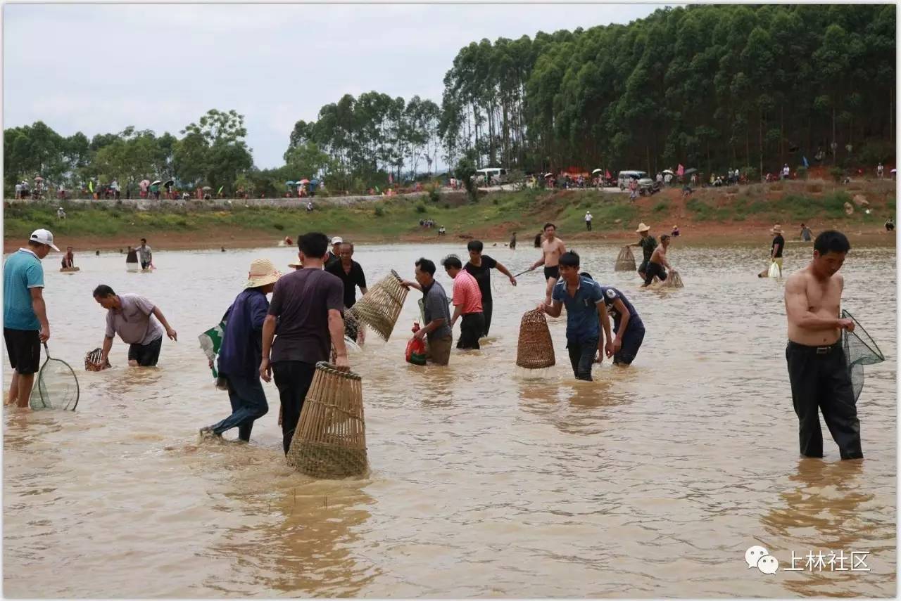 上林乔贤最新动态,欢乐温馨的日常生活时光