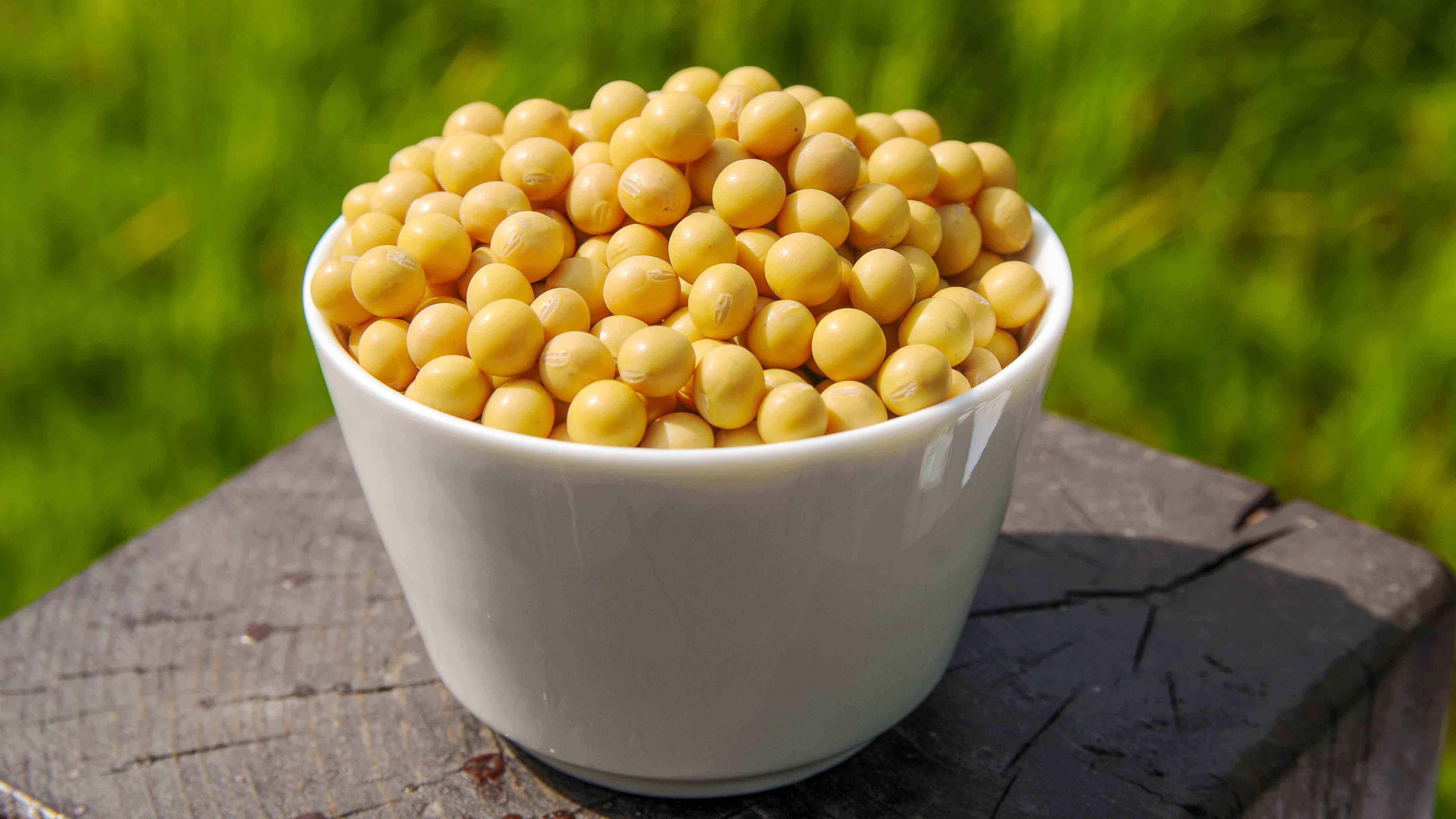 菜籽价格行情深度解析🌱