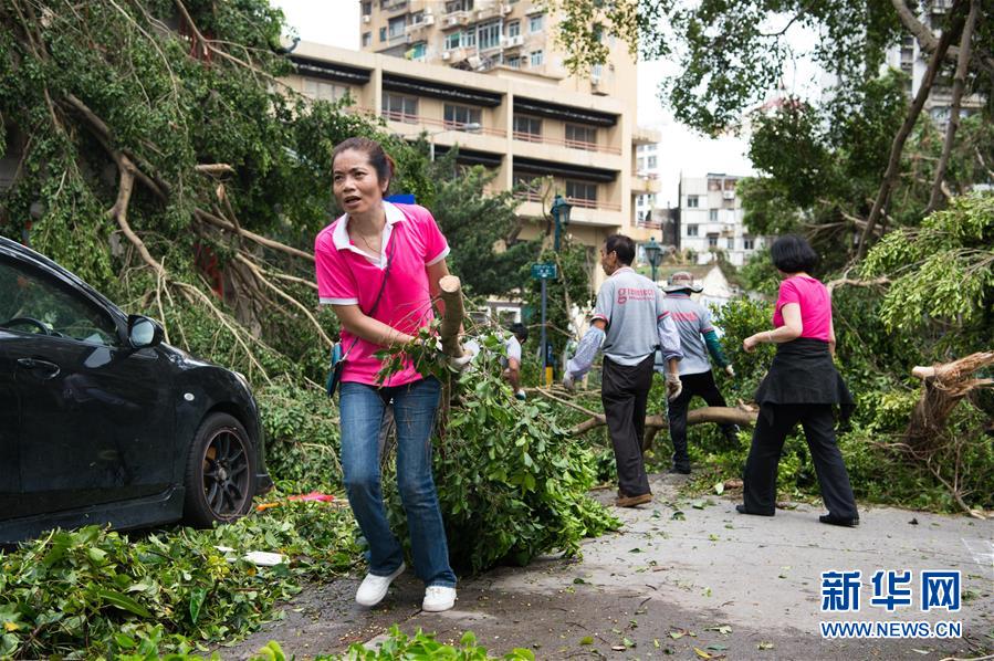 澳门天鸽最新动态更新,违法犯罪问题揭秘