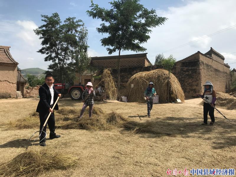 家禽养殖上市公司,从梦想起航,养鸡业的星辰大海之路