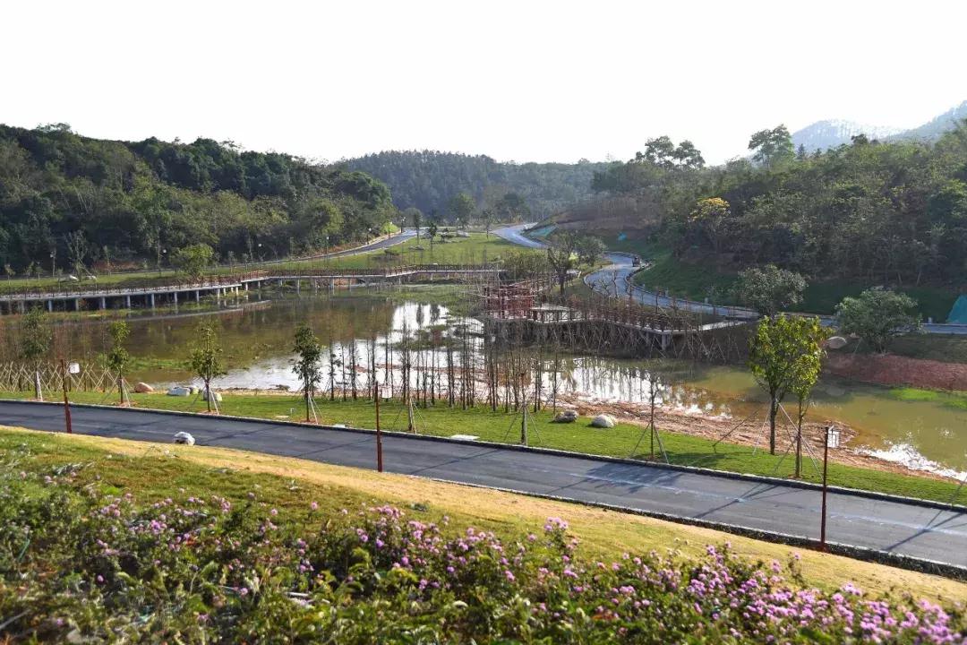 新兴装备股票投资指南与策略解析