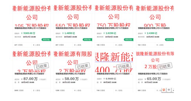 银隆股票投资前景深度解析及市场分析洞察,案例研究与实践指南