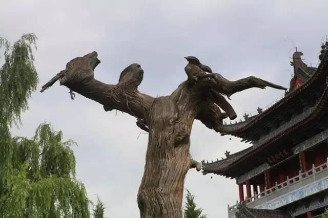宗圣文化资讯速递，学习变化，自信成就，励志前行之路