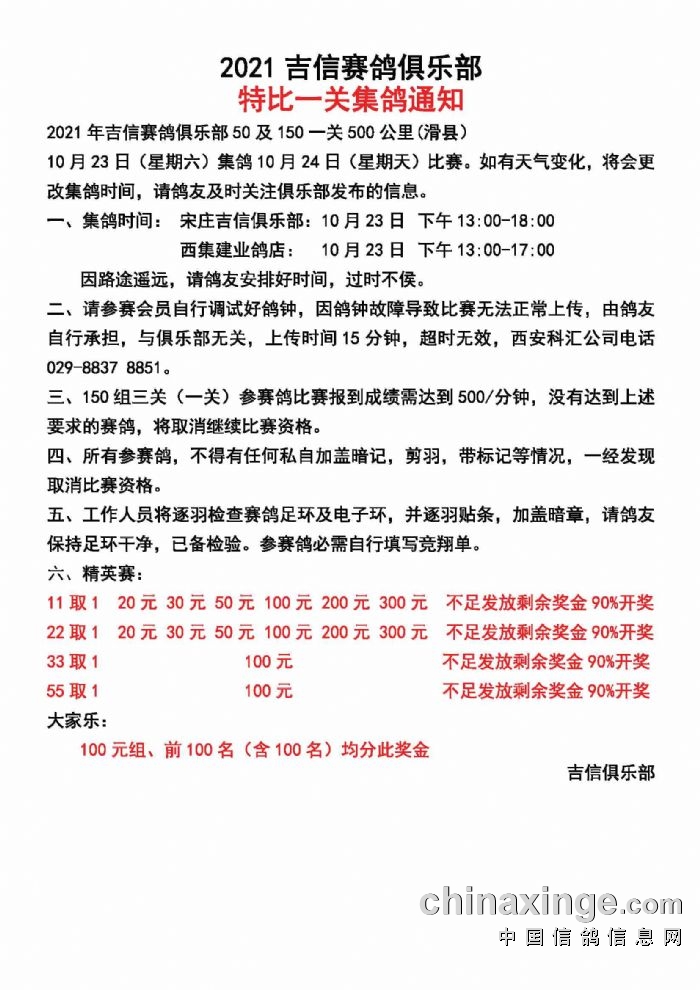 2015吉信赛鸽比赛成绩报告及深度分析