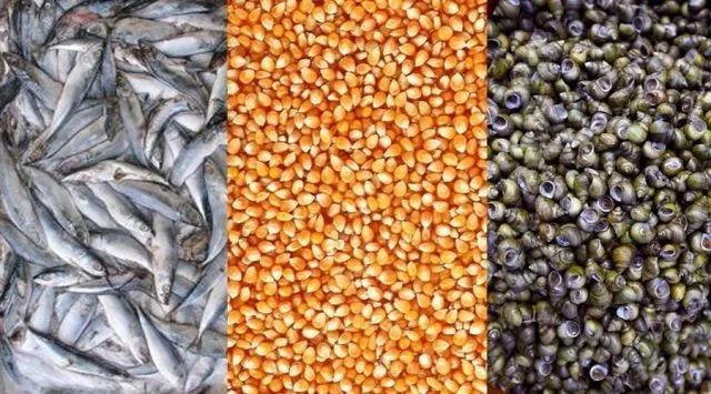 天津蟹价实时动态,科技助力,蟹价动态轻松掌握