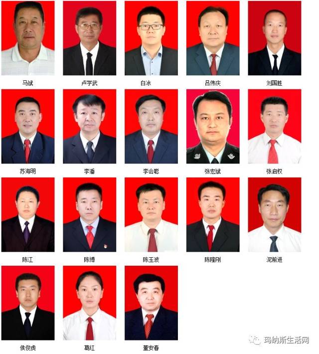 分路器单元 第100页