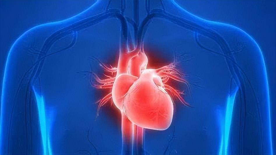 血糖正常值标准表详解,步骤指南与参考值范围