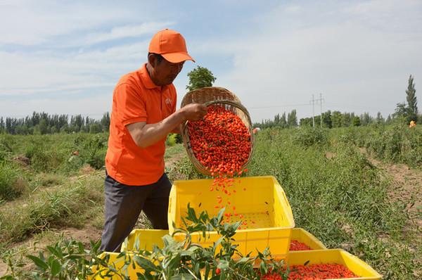 宁夏上市企业的崛起,背景、发展与重要地位