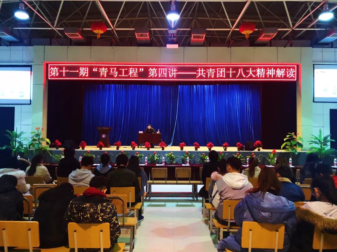 第48期马会资料,探索自然美景之旅,寻觅内心平和之地