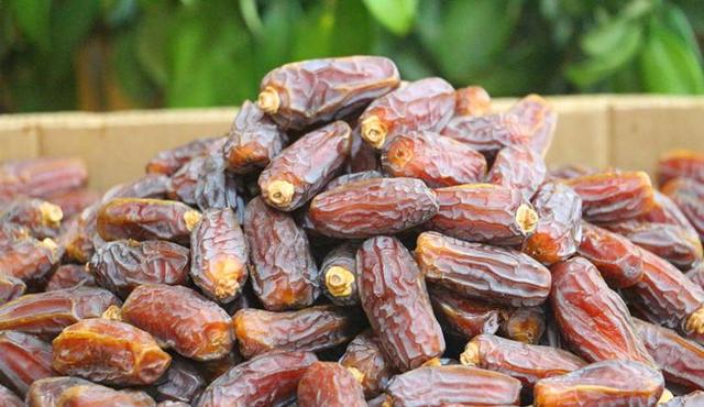 椰枣价格背后的知识追求,超越万千财富的珍贵价值