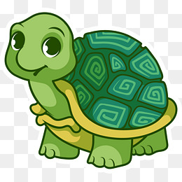 动漫龟,从虚拟世界到现实生活的魅力之旅