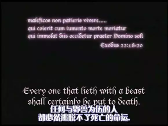 光影间的友情纽带,温馨有趣的日常故事与类似黑暗圣经的动漫探索