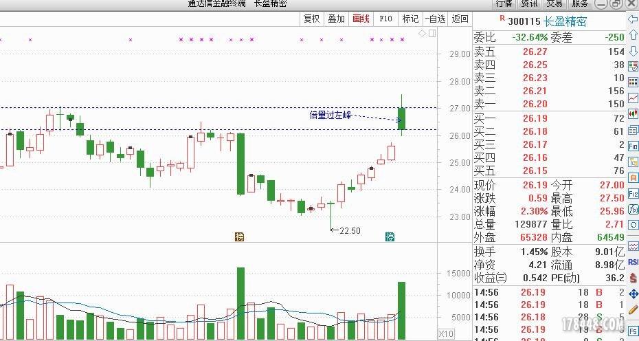 股票300115,自然美景背后的股市探险之旅