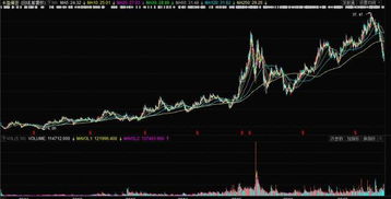 股票300115,自然美景背后的股市探险之旅